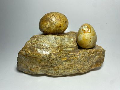 פריט נדיר לעיצוב שולחן. קומפוזיציה המחקה ביצי דינוזאור מאובנים. אורך: 15 ס"מ. גובה: 9 ס"מ. משקל: 