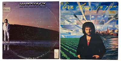 זוג תקליטי ויניל של אריק סיני - צל כבד שנת 1981 ובסוף המעגל שנת 1983, תוצרת ישראל, מצבים טובים