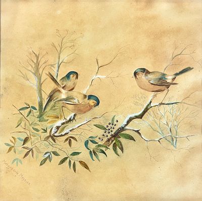 Marguerite Meyrier - ציפורים על ענף, ציור עתיק בצבעי מים על נייר, חתום ומתוארך 1905. מידות 