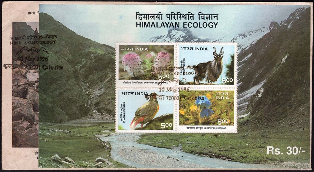 Ashok Stamp | Auction 3 | Ashok Stamps and Collectibles