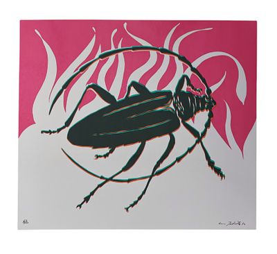 Gino Marotta, Scarabeo dalla cartella 'Lo zoo incantato'1974cm 32,5x32,5esemplare 62/500 in 