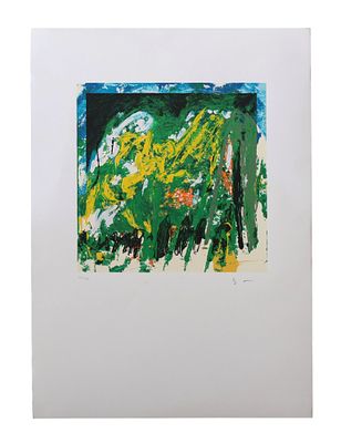 Mario Schifano, Declinoserigrafiacm 70x50esemplare 166/199 in basso a sinistrafirma a matita in 