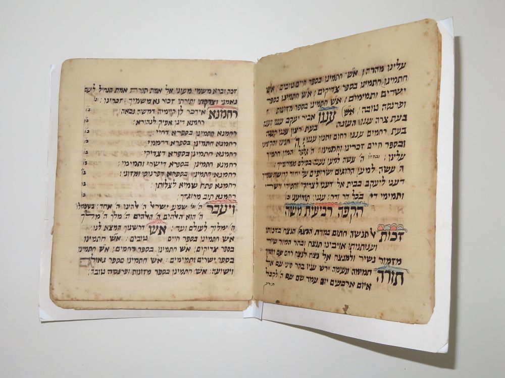 כתב יד - סדר הקפות ופיוטים - המאה ה-19. 
26 עמודים. 
איורים צבעוניים יפים.