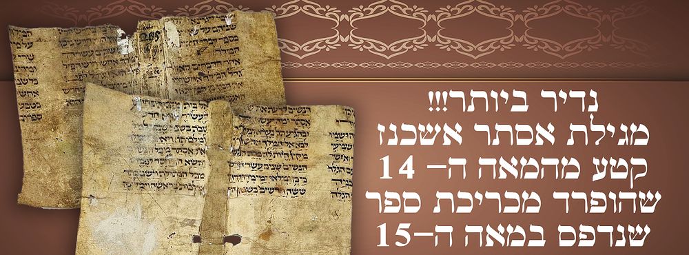 נדיר ביותר!!! מגילת אסתר אשכנז. קטע מהמאה ה- 14, שהופרד מכריכת ספר שנדפס במאה ה-15. 
על קלף. 