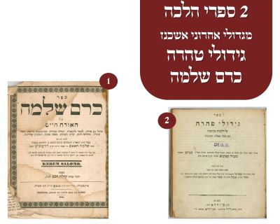 2 ספרי הלכה מגדולי אחרוני אשכנז - גידולי טהרה - כרם שלמה. ספר גידולי טהרה , ביאור על שולחן ערוך 