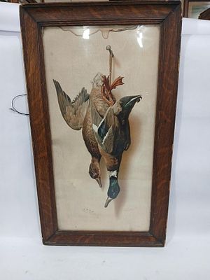 Helena McGuire Wild Duck Framed Mallard Print. Great early condition with water damage showing 
