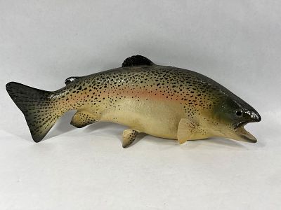 Rainbow Trout Fish Mount. 17 inches long, some cracking to inside of mouth