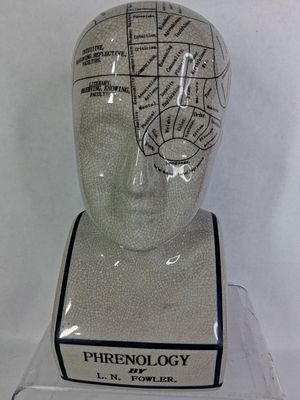 L. N. Fowler Phrenology of Crania Characteristic Bust of Superior Form. Great overall condition 