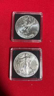 2017 Silver Eagles. 2 coins, each is one oz fine silver