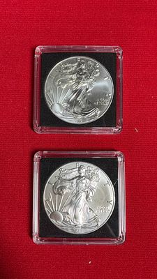 2017 Silver Eagles. 2 coins, each is one oz fine silver