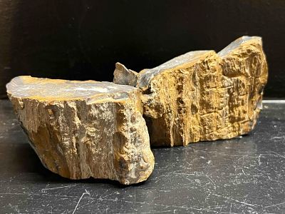 A Pair of Petrified Wood Specimens. A pair of petrified wood specimens featuring silicified 