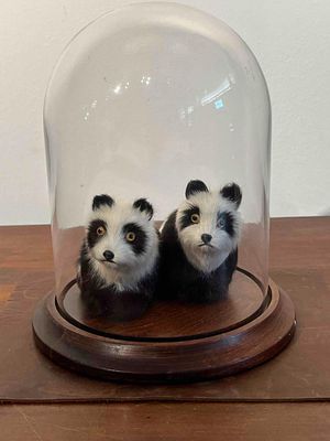 Pair Panda Figurines, Glass Cloche. A pair of decorative figurines fashioned from natural fur 