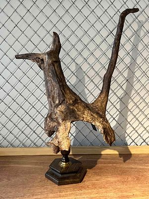 Zoomorphic Driftwood Sculpture on Base. A found object sculpture created from a single piece of 