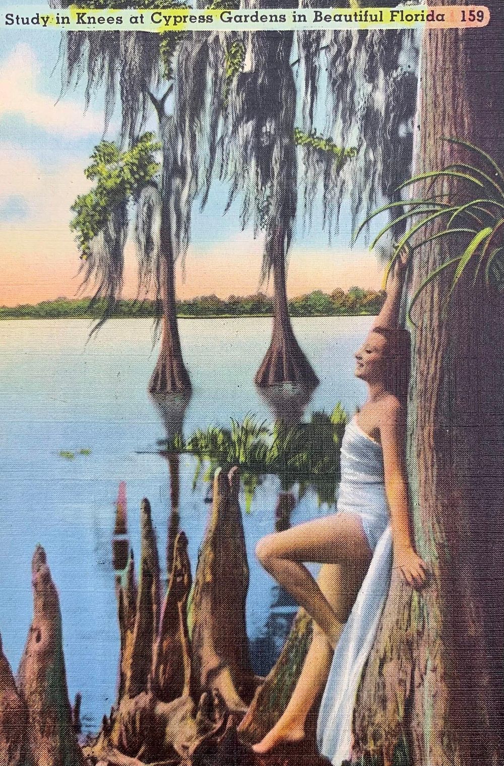 Lot 378: 100 Antique to Vintage Louisiana Purchase Exposition, Florida, US States Tourist Souvenir Postcards