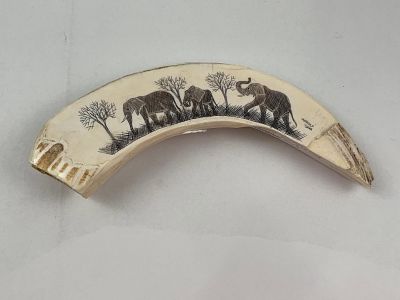 L. Tshuma Scrimshawed Warthog Tusk. 10 inches long. Warthog tusk. This piece is a scrimshawed 