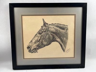 Roanke Denny Horse Head Graphite, 1985. 20 x 17.5 inches. Artist-signed pencil drawing. Graphite 