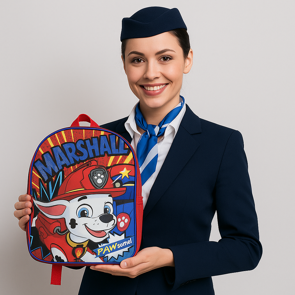 Lot 273: Kids Licensed Backpack – PAW Patrol Skye & Everest – New with Tags – Mixed Retail Stock Pink