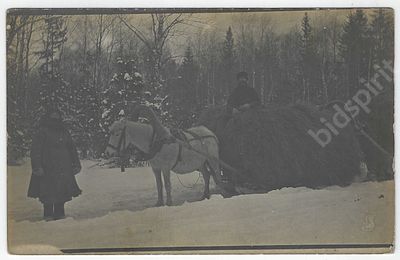 Типы. Крестьянин на санях с сеном. 1910-е гг. Неизвестный фотограф. Размер - 8,7х13,2 см.