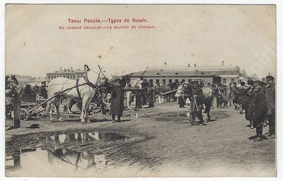 На конной площади. Типы России № 126. Открытка. Фототипия Шерер. Набгольц 1902 г. Сохранность 