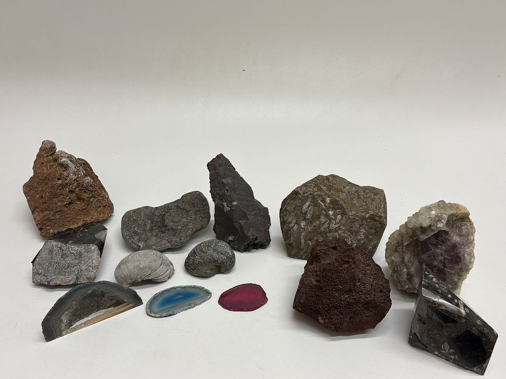 Lot 35: A Collection of 13 Geological, Paleontological, and Mineral Specimens including Quartz, Fossils, and Coalite Samples