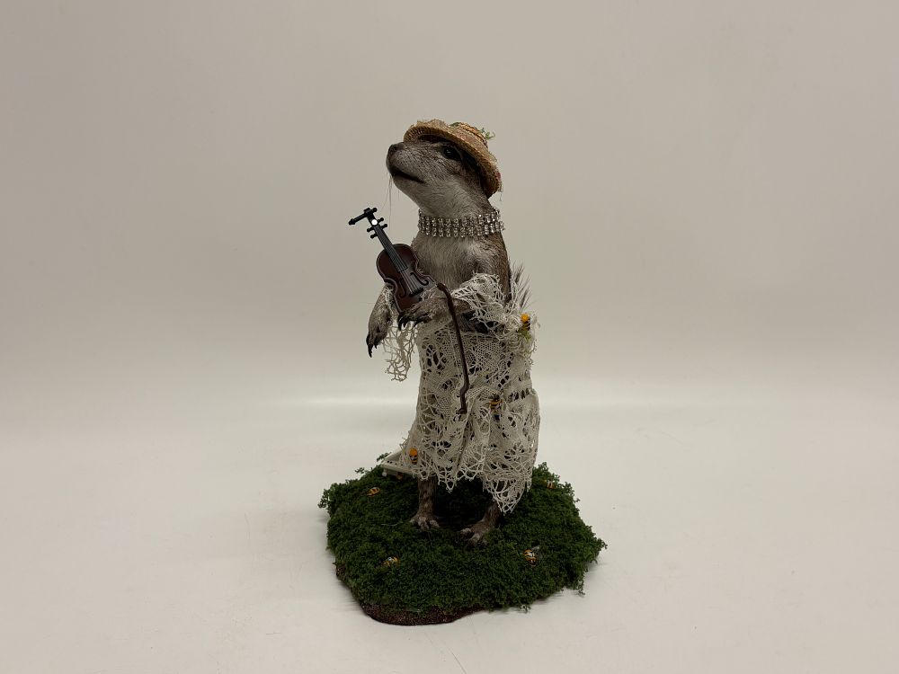 Lot 187: Anthropomorphic Taxidermy Squirrel with Violin and Accessories