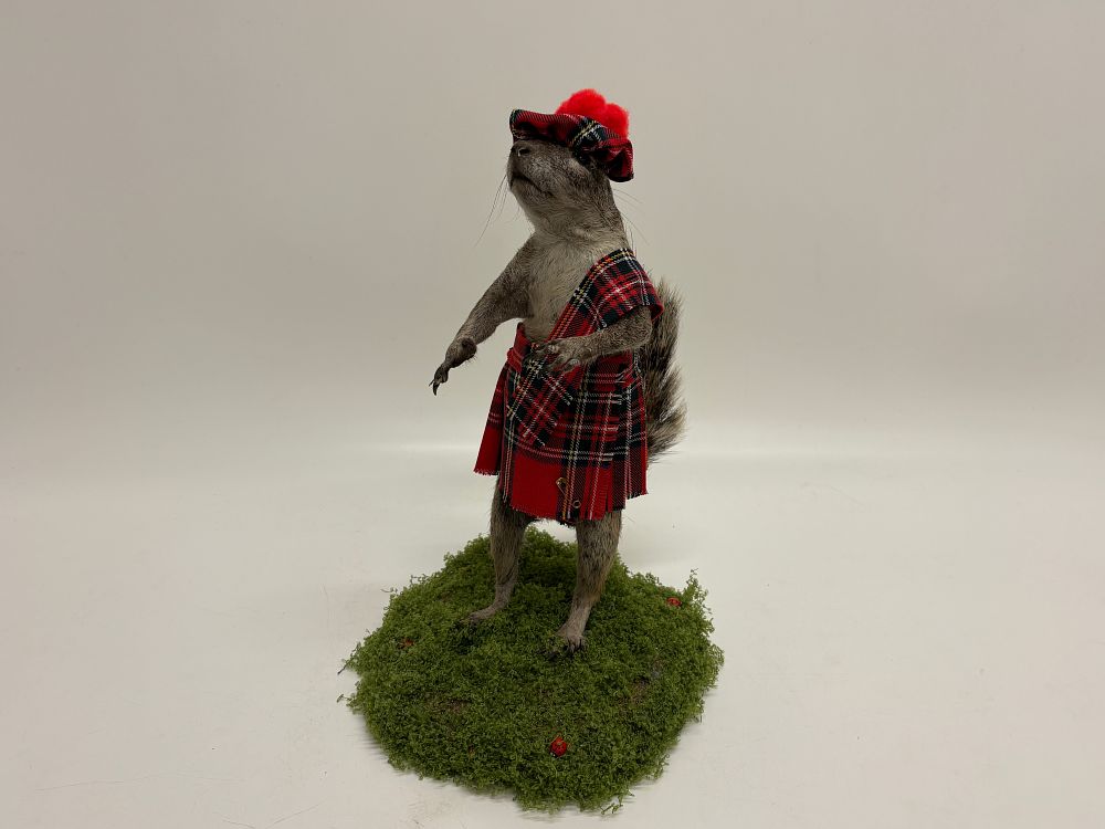 Lot 188: A Novelty Anthropomorphic Squirrel Taxidermy Specimen in Scottish Highland Dress