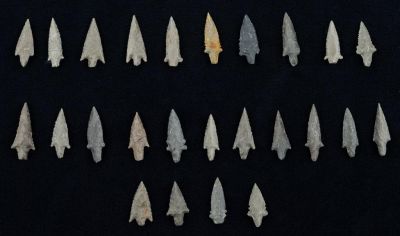 Pre-Columbian Bird Points (25). Pre-Columbian Inca small flint arrowheads aka bird points, from
