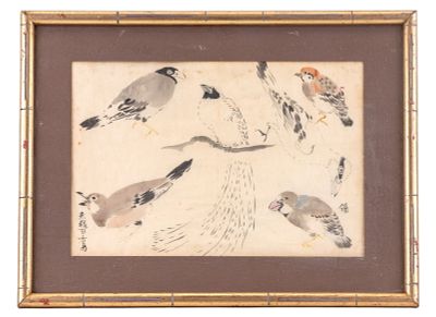 Signed Japanese Ink Wash Bird Study. Japanese ink wash on rice paper depicting a bird study. 