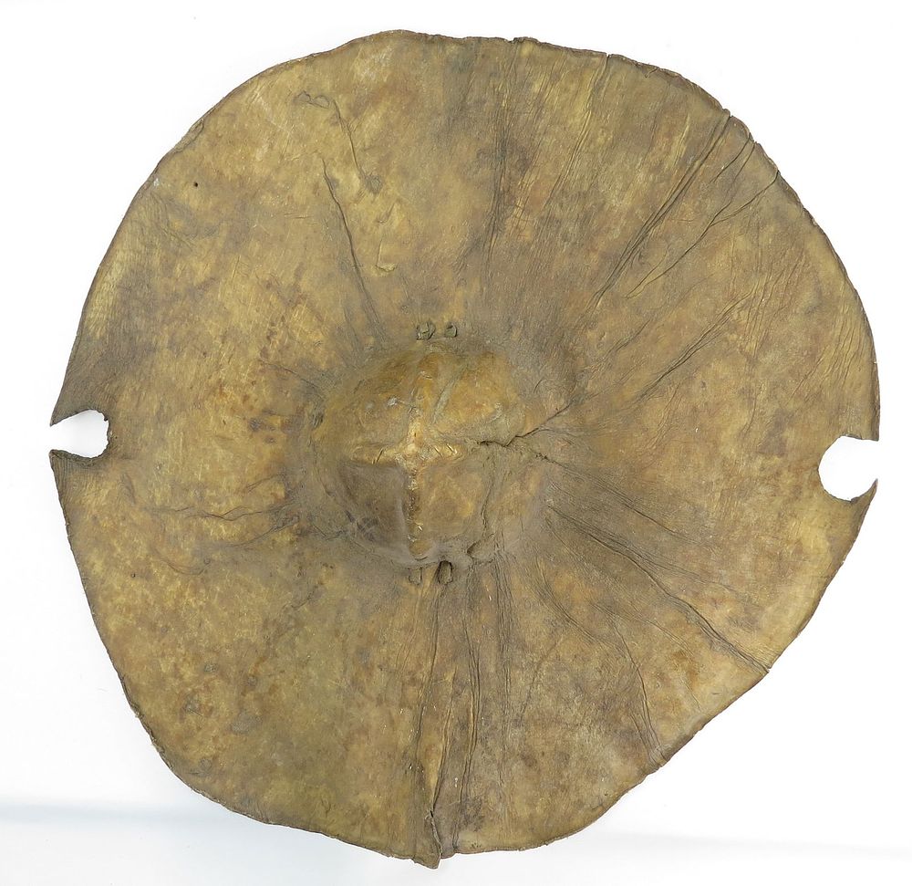 Lot 283: A RARE SUDANESE HIDE SHIELD