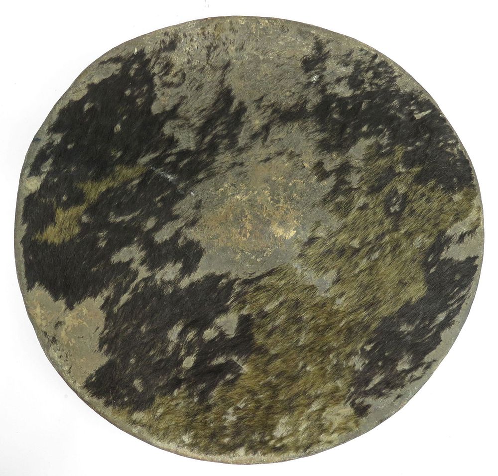 Lot 209: A RARE MADAGASCAR AMPINGA SHIELD