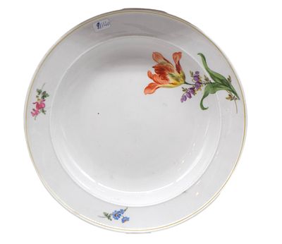 Suppenteller. breiter Rand, Rand und Spiegel mit bunter Feldblumenbemalung, Dm 24 cm, blaue 