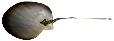 Muschell&ouml;ffel. versilberter Metallgriff, L&ouml;ffel in Form einer Muschel, L 25 cm, um 1900