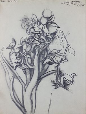 Renato Guttuso (1911-1987) - Flowers, 1954. Renato Guttuso (1911–1987) | Italy Charcoal on 