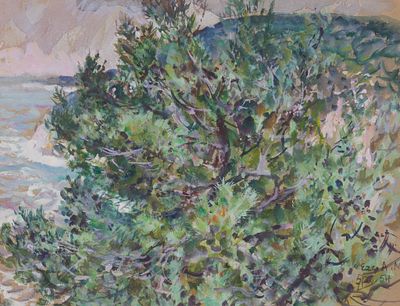 20th Century French School - Pine Tree by the Coast. 20th Century French School | France Gouache 