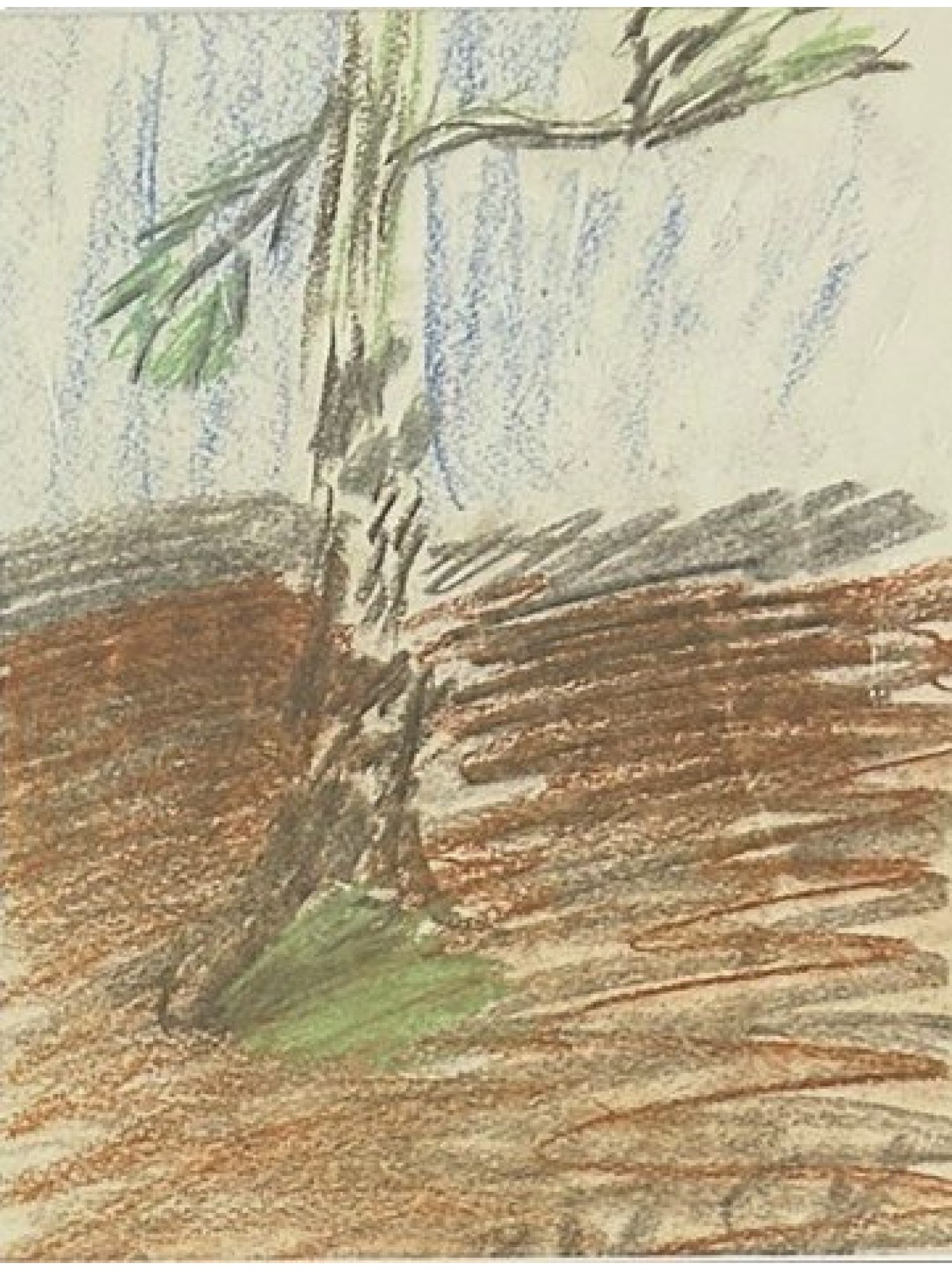 VLADIMIR YAKOVLEV RUSSIAN PENCIL BIRCH TREE DRAWING