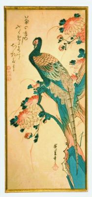 Unknown artist - Painting of a peacock on a tree. Watercolor on 37x17 cm paper signed by the artist