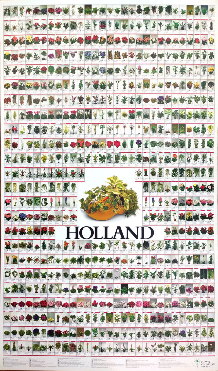Flower Council of Holland catalog. poster, 94x159 cm 
The Flower Council of Holland is 