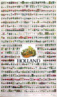 Flower Council of Holland catalog. poster, 94x159 cm 
The Flower Council of Holland is 