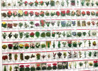 Flower Council of Holland catalog. poster, 94x159 cm 
The Flower Council of Holland is Image - 2