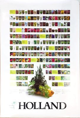 Flower Council of Holland catalog. poster, 124x84 cm 
The Flower Council of Holland is 