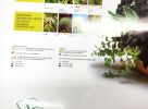 Flower Council of Holland catalog. poster, 124x84 cm 
The Flower Council of Holland is Image - 1