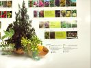 Flower Council of Holland catalog. poster, 124x84 cm 
The Flower Council of Holland is Image - 2