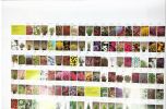 Flower Council of Holland catalog. poster, 124x84 cm 
The Flower Council of Holland is Image - 3