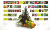 Flower Council of Holland catalog. poster, 124x84 cm 
The Flower Council of Holland is Image - 4