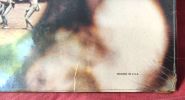 Pink Floyd, Obscured by Clouds. 1972 Pink Floyd Music Ltd. 
The Gramophone Company Limited Image - 4