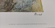 Zvi Meirowitz - Lot of 2 offset prints. 1. Birds. Artistic offset print under the supervision of Image - 2
