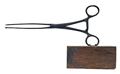 Dan Ben Amotz - דן בן אמוץ. Surgeons' scissors on a wooden board signed by Dan Ben Amotz