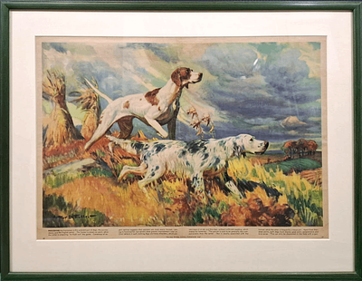 Hy Hintermeister - Vintage Hunting Dogs Art Print – "Pointer & English Setter". framed size 50x66 