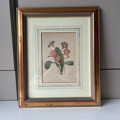 Лимитированная ботаническая иллюстрация Пьера-Жозефа Редуте (1759–1840) &laquo;Примула обыкновенная&raquo; 