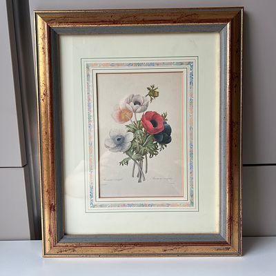 Лимитированная ботаническая иллюстрация Пьера-Жозефа Редуте (1759–1840) &laquo;Ветреница&raquo; (Anem&oacute;ne). Ве 